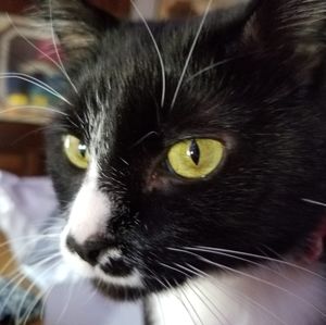 Meet your Posher, Barb